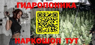 мяу мяу мука Беслан