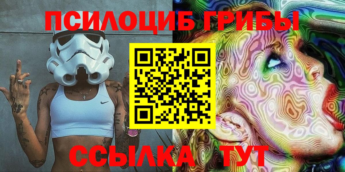 Псилоцибиновые грибы Psilocybe Кимовск